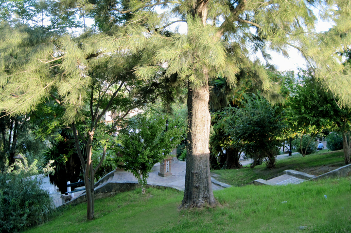 Modest shady park in Jimena